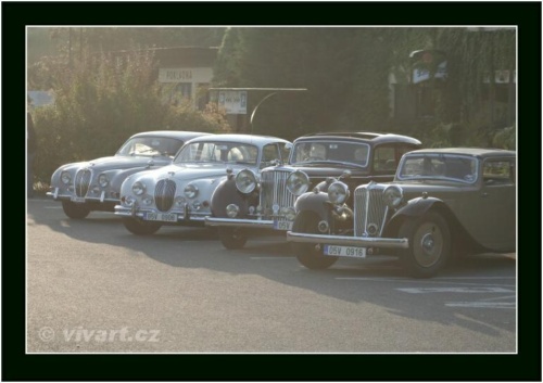 JEC Klub v Safari ZOO Dvůr Králové nad Labem 2010 V_18