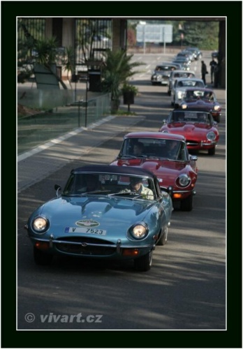 JEC Klub v Safari ZOO Dvůr Králové nad Labem 2010 V_181