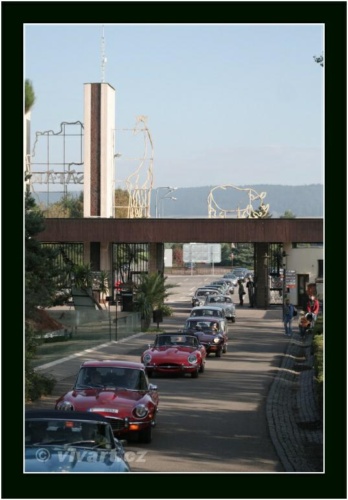 JEC Klub v Safari ZOO Dvůr Králové nad Labem 2010 V_182