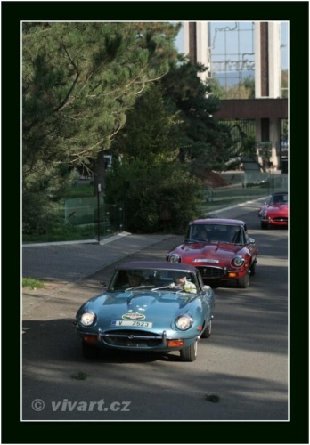 JEC Klub v Safari ZOO Dvůr Králové nad Labem 2010 V_183