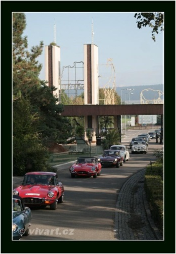 JEC Klub v Safari ZOO Dvůr Králové nad Labem 2010 V_184