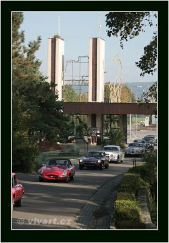 JEC Klub v Safari ZOO Dvůr Králové nad Labem 2010 V_185