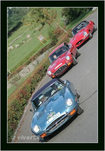 JEC Klub v Safari ZOO Dvůr Králové nad Labem 2010 V_186