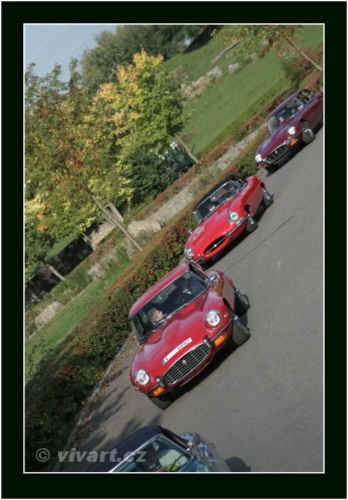 JEC Klub v Safari ZOO Dvůr Králové nad Labem 2010 V_187