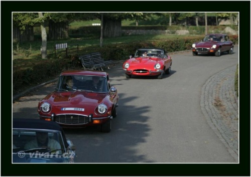 JEC Klub v Safari ZOO Dvůr Králové nad Labem 2010 V_188