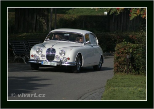 JEC Klub v Safari ZOO Dvůr Králové nad Labem 2010 V_190