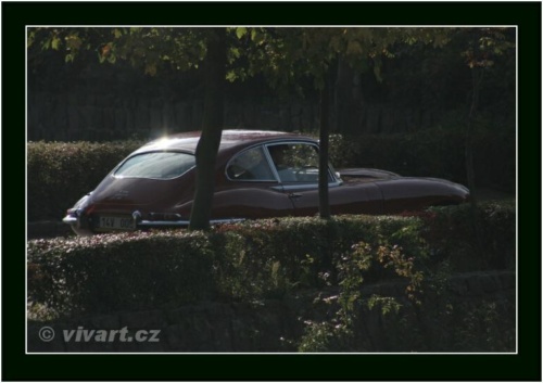 JEC Klub v Safari ZOO Dvůr Králové nad Labem 2010 V_191