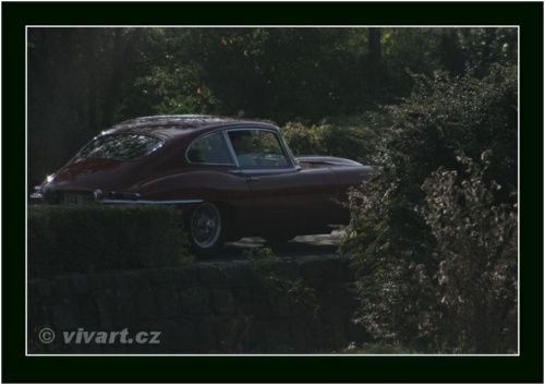 JEC Klub v Safari ZOO Dvůr Králové nad Labem 2010 V_192