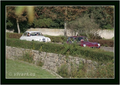 JEC Klub v Safari ZOO Dvůr Králové nad Labem 2010 V_193