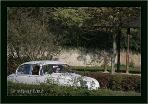 JEC Klub v Safari ZOO Dvůr Králové nad Labem 2010 V_194