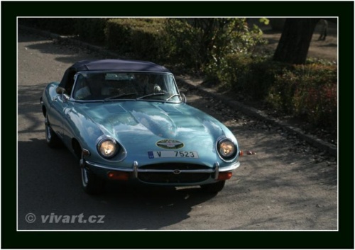 JEC Klub v Safari ZOO Dvůr Králové nad Labem 2010 V_196