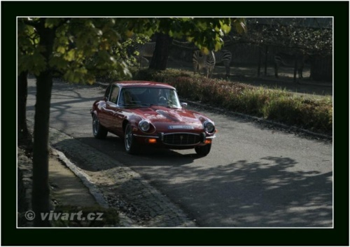 JEC Klub v Safari ZOO Dvůr Králové nad Labem 2010 V_197