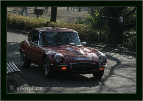 JEC Klub v Safari ZOO Dvůr Králové nad Labem 2010 V_198