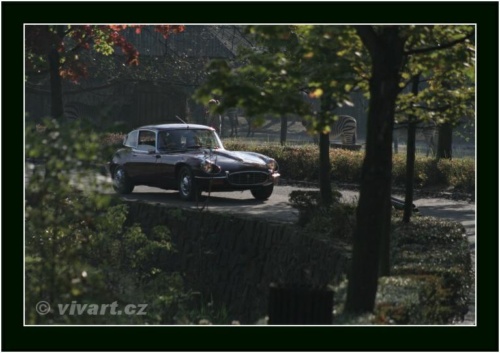 JEC Klub v Safari ZOO Dvůr Králové nad Labem 2010 V_199