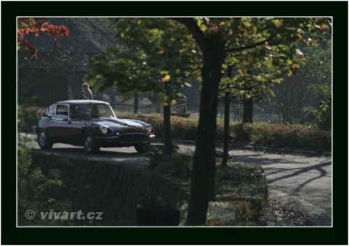 JEC Klub v Safari ZOO Dvůr Králové nad Labem 2010 V_200