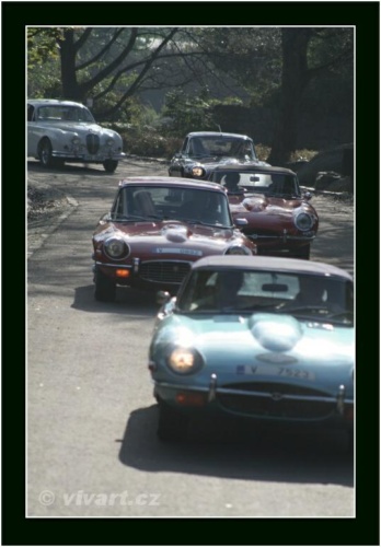 JEC Klub v Safari ZOO Dvůr Králové nad Labem 2010 V_201