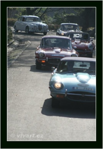 JEC Klub v Safari ZOO Dvůr Králové nad Labem 2010 V_202