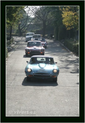 JEC Klub v Safari ZOO Dvůr Králové nad Labem 2010 V_203