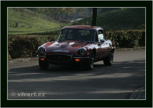 JEC Klub v Safari ZOO Dvůr Králové nad Labem 2010 V_204