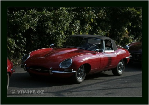 JEC Klub v Safari ZOO Dvůr Králové nad Labem 2010 V_205