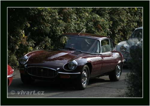 JEC Klub v Safari ZOO Dvůr Králové nad Labem 2010 V_206