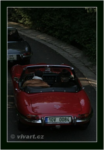 JEC Klub v Safari ZOO Dvůr Králové nad Labem 2010 V_207