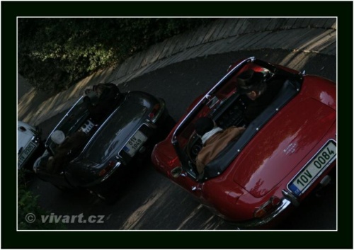 JEC Klub v Safari ZOO Dvůr Králové nad Labem 2010 V_208