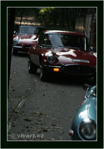 JEC Klub v Safari ZOO Dvůr Králové nad Labem 2010 V_209