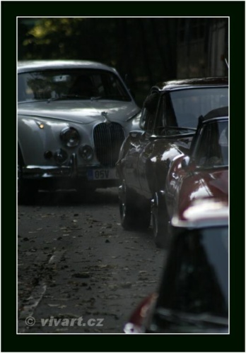 JEC Klub v Safari ZOO Dvůr Králové nad Labem 2010 V_210