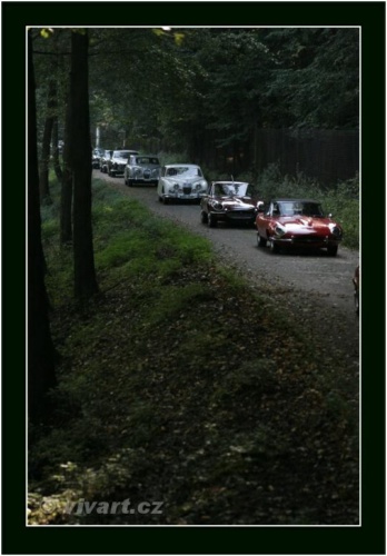 JEC Klub v Safari ZOO Dvůr Králové nad Labem 2010 V_212