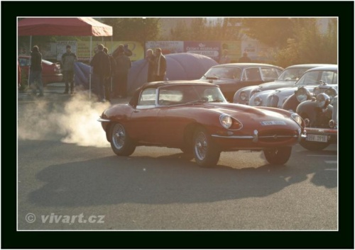 JEC Klub v Safari ZOO Dvůr Králové nad Labem 2010 V_22