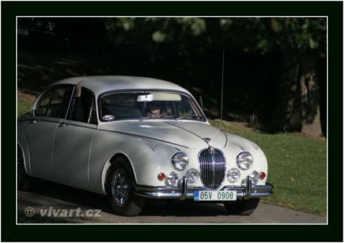 JEC Klub v Safari ZOO Dvůr Králové nad Labem 2010 V_226