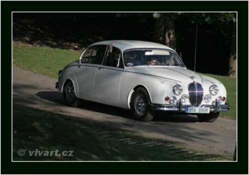 JEC Klub v Safari ZOO Dvůr Králové nad Labem 2010 V_227