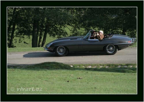 JEC Klub v Safari ZOO Dvůr Králové nad Labem 2010 V_332