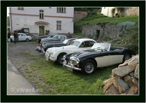 JEC Klub v Safari ZOO Dvůr Králové nad Labem 2010 V_793