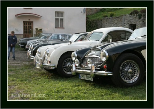 JEC Klub v Safari ZOO Dvůr Králové nad Labem 2010 V_794