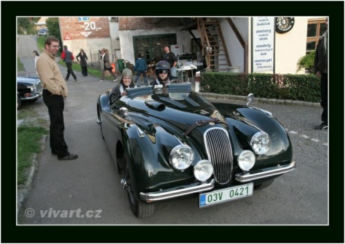 JEC Klub v Safari ZOO Dvůr Králové nad Labem 2010 V_840