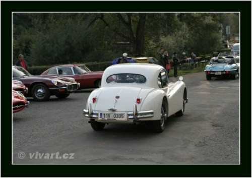 JEC Klub v Safari ZOO Dvůr Králové nad Labem 2010 V_842