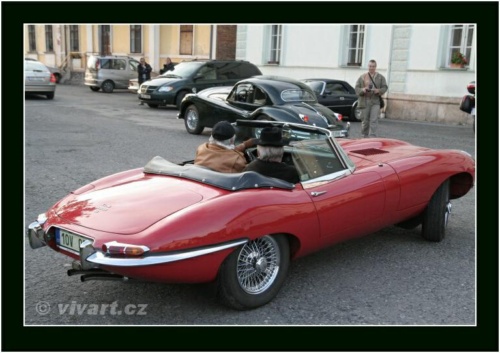 JEC Klub v Safari ZOO Dvůr Králové nad Labem 2010 V_846