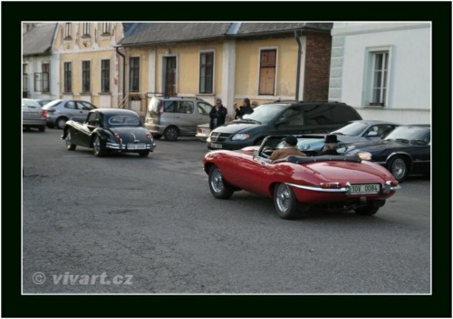 JEC Klub v Safari ZOO Dvůr Králové nad Labem 2010 V_847