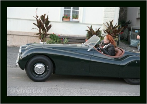 JEC Klub v Safari ZOO Dvůr Králové nad Labem 2010 V_849