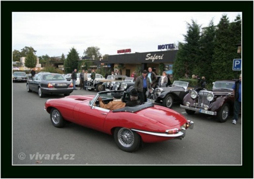 JEC Klub v Safari ZOO Dvůr Králové nad Labem 2010 V_853