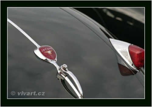 JEC Klub v Safari ZOO Dvůr Králové nad Labem 2010 V_86