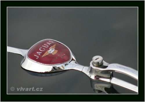 JEC Klub v Safari ZOO Dvůr Králové nad Labem 2010 V_87