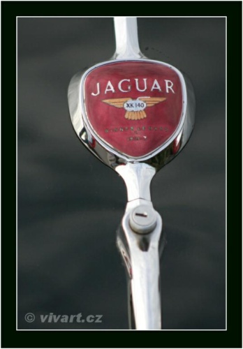 JEC Klub v Safari ZOO Dvůr Králové nad Labem 2010 V_89