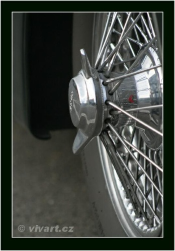 JEC Klub v Safari ZOO Dvůr Králové nad Labem 2010 V_92