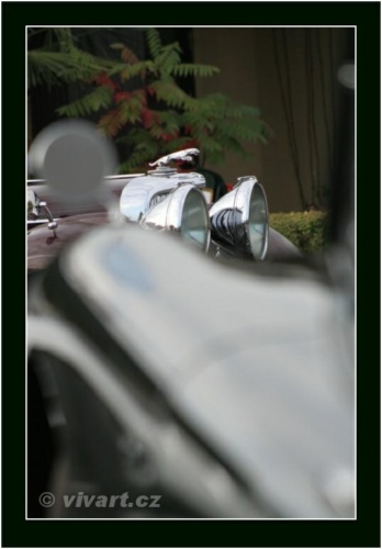 JEC Klub v Safari ZOO Dvůr Králové nad Labem 2010 V_93