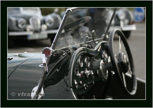 JEC Klub v Safari ZOO Dvůr Králové nad Labem 2010 V_95