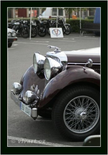 JEC Klub v Safari ZOO Dvůr Králové nad Labem 2010 V_96