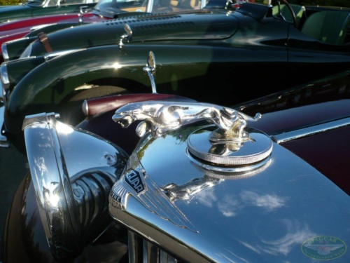 JEC Klub v Safari ZOO Dvůr Králové nad Labem 2010_07